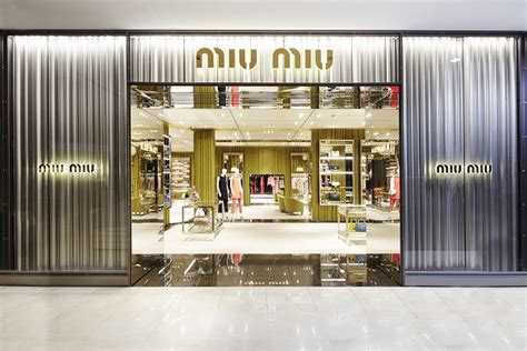 miu miu target market|marketing mix of miu.